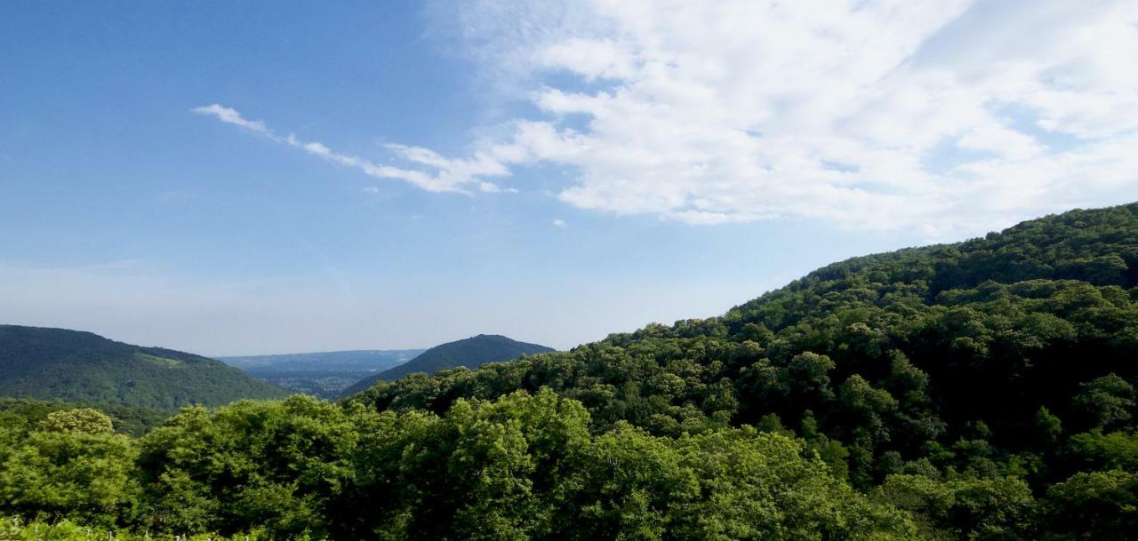 Biss Badaliss Bed & Breakfast Valdobbiadene Bagian luar foto